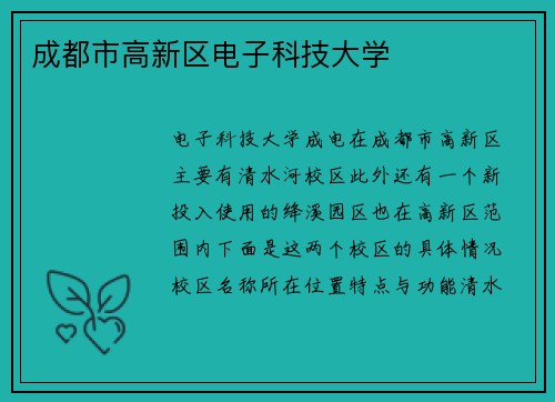 成都市高新区电子科技大学